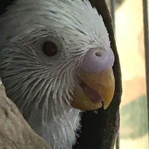 Meet your Posher, Gabriella